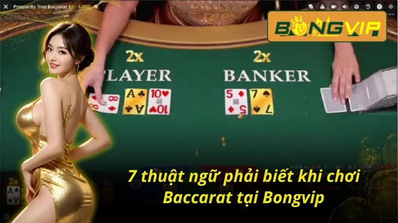 Thuật ngữ cần nắm khi trải nghiệm Baccarat Bongvip