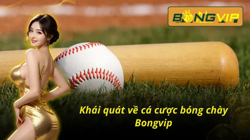 Cá Cược Bóng Chày Cực Dễ Hiểu Cho Người Chơi Mới Tại Bongvip 2 Tổng quan những thông tin cơ bản về bóng chày bongvip