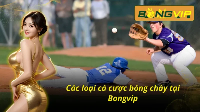 Cá Cược Bóng Chày Cực Dễ Hiểu Cho Người Chơi Mới Tại Bongvip 6 Cá cược bóng chày bongvip trải nghiệm đa dạng và hấp dẫn