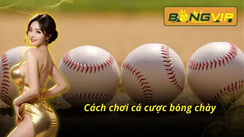 Cá Cược Bóng Chày Cực Dễ Hiểu Cho Người Chơi Mới Tại Bongvip 5 Cách chơi cá cược bóng chày Bongvip vô cùng hiệu quả