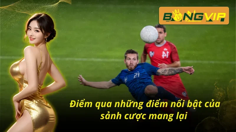 Điểm qua những điểm nổi bật của Bóng đá Bongvip