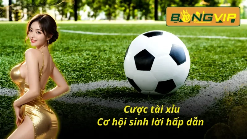 Hình thức cá cược thú vị của Bóng đá Bongvip