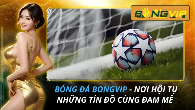 Bóng Đá - Nơi Hội Tụ Những Tín Đồ Bongvip Cùng Đam Mê 7 Bóng Đá