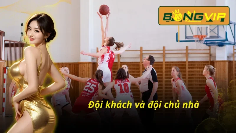Bóng Rổ - Điểm Đến Của Đam Mê Cá Cược Bongvip 3 Phân biệt các khái niệm cơ bản cùng Bóng rổ Bongvip
