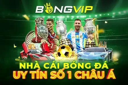 Trang Chủ 10 bongvip banner moblie 450x300 1