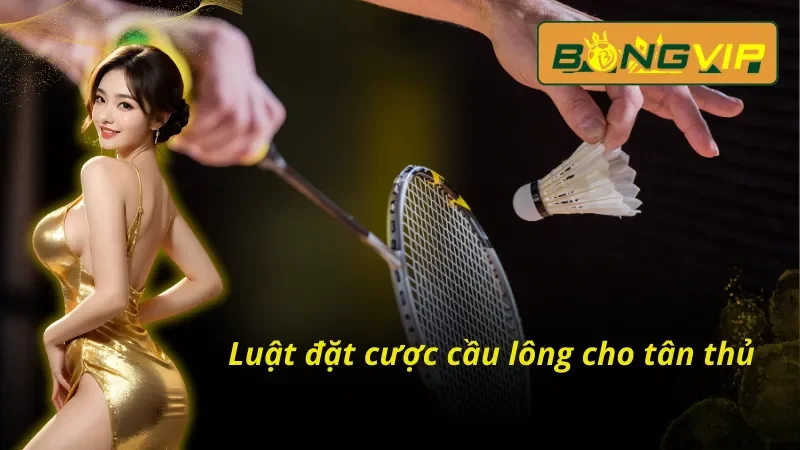 Những điều cần biết khi tham gia đặt cược cầu lông Bongvip