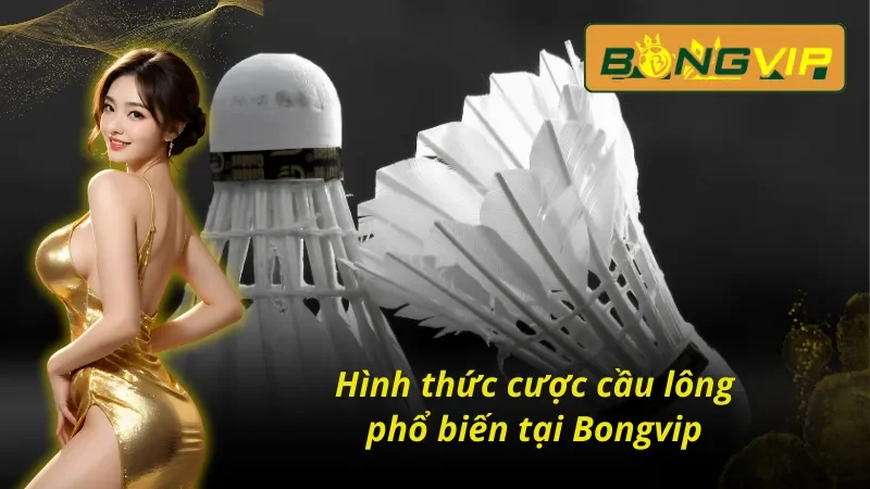 Hình thức cược cầu lông Bongvip phổ biến không thể bỏ qua