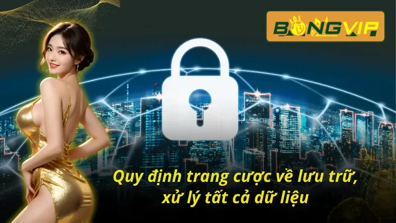 Chính Sách Bảo Mật Bongvip - An Toàn Tuyệt Đối, Minh Bạch 4 Chính sách bảo mật Bongvip có quy trình xử lý an toàn, rõ ràng
