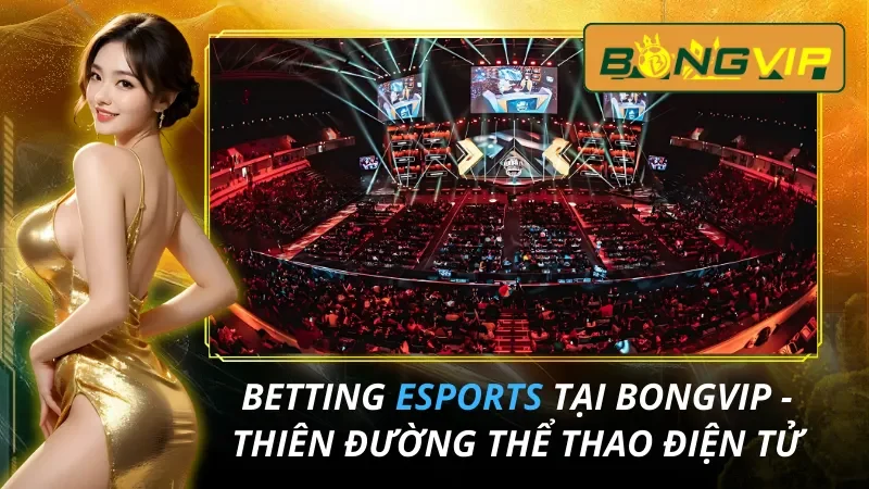 Betting Esports tại Bongvip - Thiên Đường Thể Thao Điện Tử 1 Esports