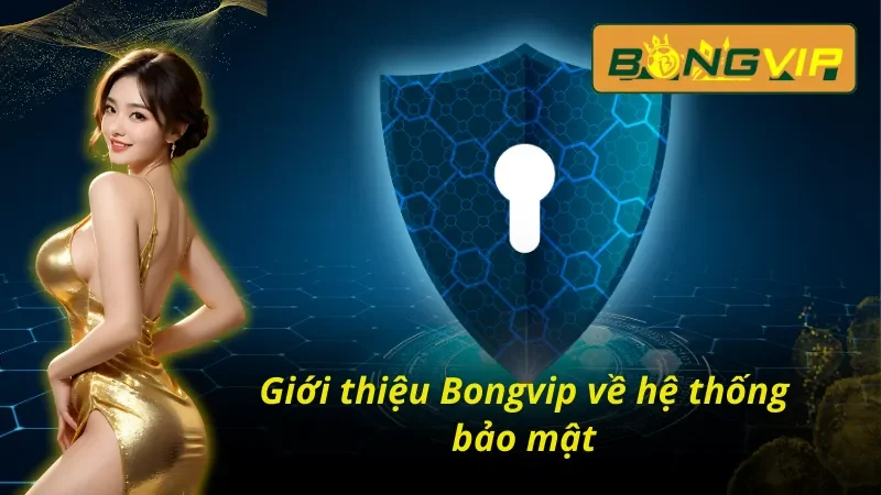 Giới Thiệu Bongvip - Cá Cược Uy Tín, Khuyến Mãi Đặc Sắc 5 Giới thiệu Bongvip với cam kết an toàn cho mọi hội viên