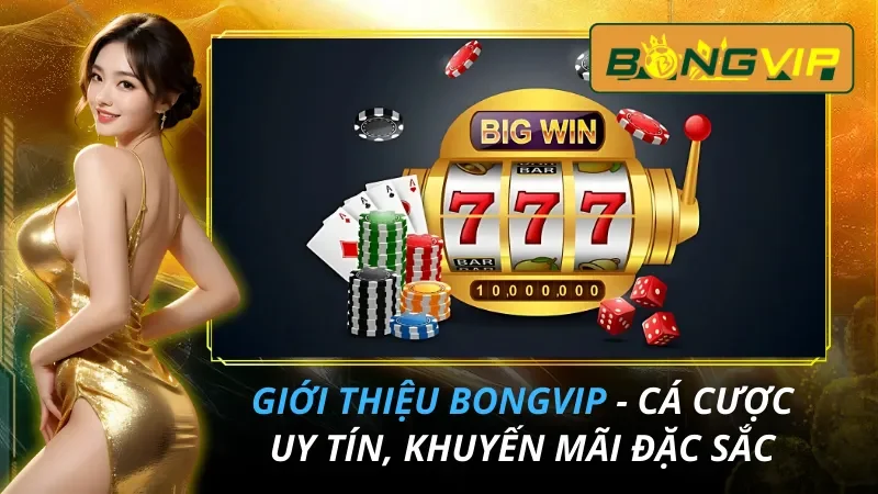 Giới Thiệu Bongvip - Cá Cược Uy Tín, Khuyến Mãi Đặc Sắc 1 Giới Thiệu Bongvip