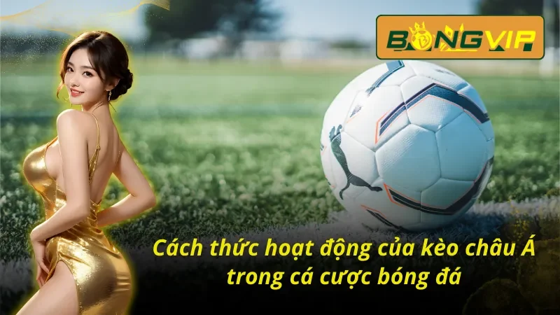Cách chơi kèo Châu Á Bongvip 