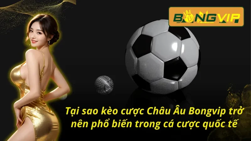 Kèo Châu Âu: Chinh Phục Đỉnh Cao Cá Cược Thể Thao Bongvip 3 Đánh giá kèo Châu Âu Bongvip tại nhà cái uy tín