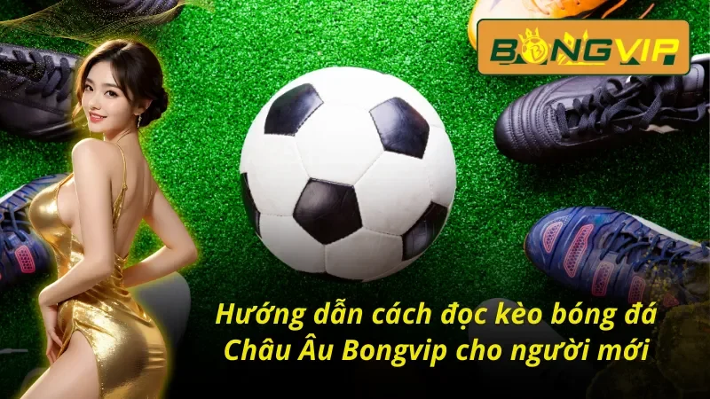 Kèo Châu Âu: Chinh Phục Đỉnh Cao Cá Cược Thể Thao Bongvip 4 Bật mí cách đọc kèo Châu Âu Bongvip chuẩn từ cao thủ
