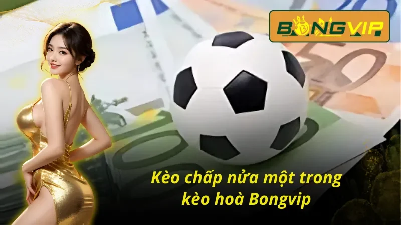 Kèo Hòa - Cơ Hội Kiếm Tiền Hiệu Quả Nhất Bongvip Hiện Nay 5 Kèo chấp nửa một trong kèo hoà Bongvip