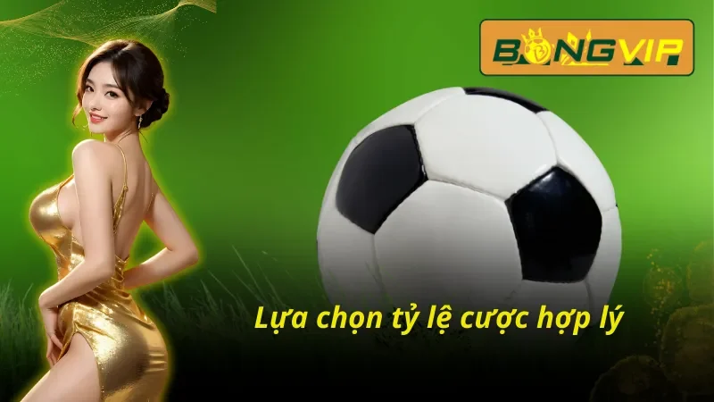 Kèo Hòa - Cơ Hội Kiếm Tiền Hiệu Quả Nhất Bongvip Hiện Nay 6 Hãy chọn cho mình mức cược phù hợp khi chọn kèo hoà Bongvip