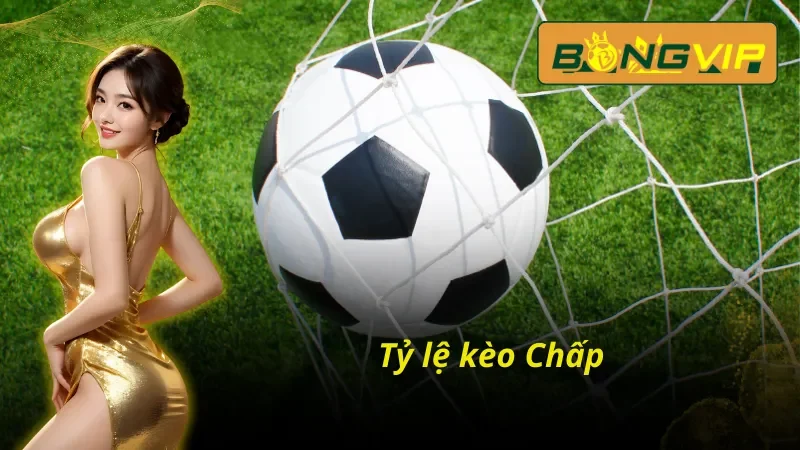 Tìm Hiểu Đọc Kèo Malaysia Chuẩn Để Cược Là Thắng Tại Bongvip 3 Một số loại kèo phổ biến trong kèo Malaysia Bongvip