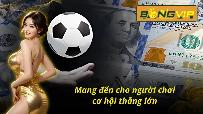 Tìm Hiểu Đọc Kèo Malaysia Chuẩn Để Cược Là Thắng Tại Bongvip 5 Kèo malaysia Bongvip mang đến cơ hội thắng lớn