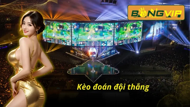 Liên Minh Huyền Thoại (LOL) Lựa Chọn Số 1 Của Người Chơi Bongvip 3 Liên minh huyền thoại(LOL) Bongvip dự đoán đội thắng