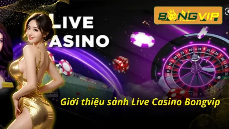 Live Casino – Tận Hưởng Không Khí Sòng Bạc Thực Thụ Tại Bongvip 2 Live Casino Bongvip và những thông tin đáng chú ý