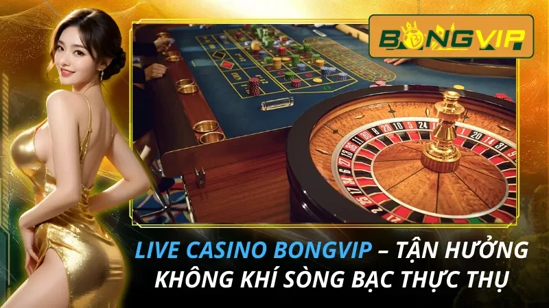 Live Casino