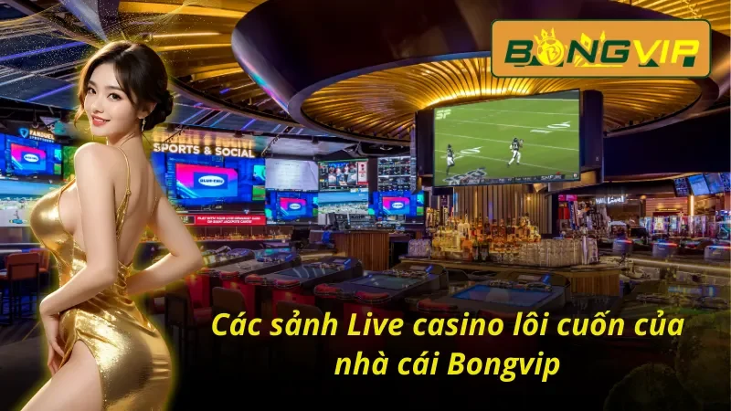 Live Casino – Tận Hưởng Không Khí Sòng Bạc Thực Thụ Tại Bongvip 3 Live Casino Bongvip và các sảnh game nổi bật