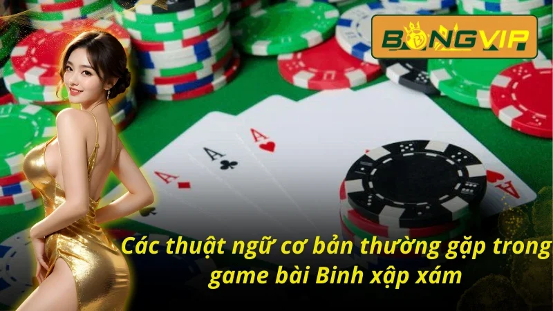 Chinh Phục Mậu Binh Giành Thưởng Lớn Từ Nhà Cái Bongvip 5 Thuật ngữ trong bài Mậu Binh Bongvip