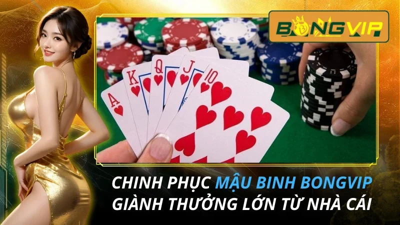 Chinh Phục Mậu Binh Giành Thưởng Lớn Từ Nhà Cái Bongvip 4 Mậu Binh