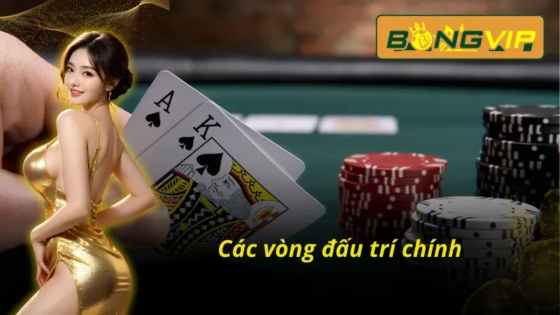 Tham Gia Đấu Trí Poker Phá Vỡ Giới Hạn Cùng Bongvip 4 Chi tiết các vòng đấu Poker Bongvip cho bet thủ