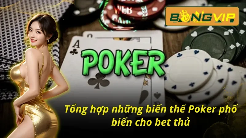 Tham Gia Đấu Trí Poker Phá Vỡ Giới Hạn Cùng Bongvip 5 Các biến thể Poker Bongvip ưa chuộng trong thời gian qua
