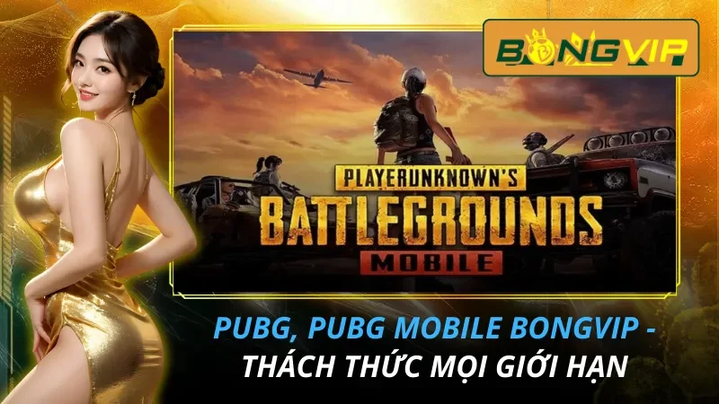PUBG, PUBG Mobile - Thách Thức Mọi Giới Hạn Cùng Bongvip 5 PUBG,PUBG mobie