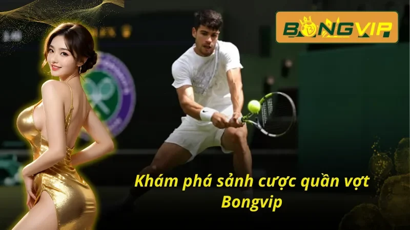 Khám phá sảnh cược quần vợt Bongvip hàng đầu
