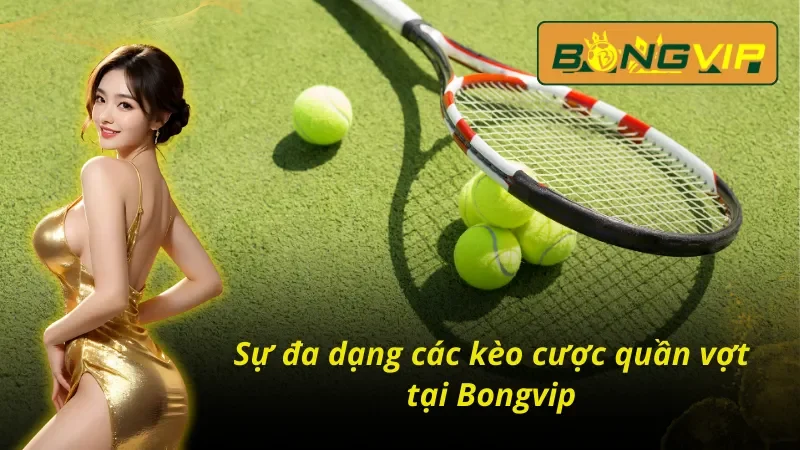 Sự đa dạng các loại hình kèo cược tại quần vợt Bongvip