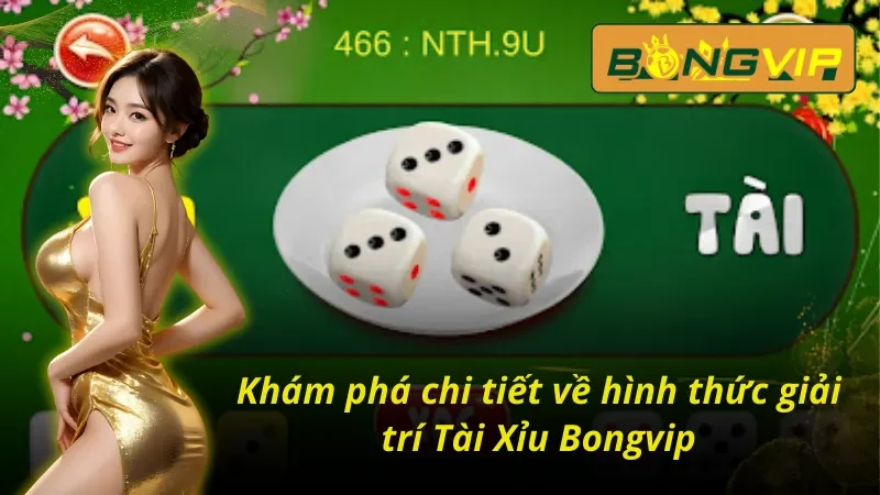 Tổng quan về hình thức tài xỉu Bongvip