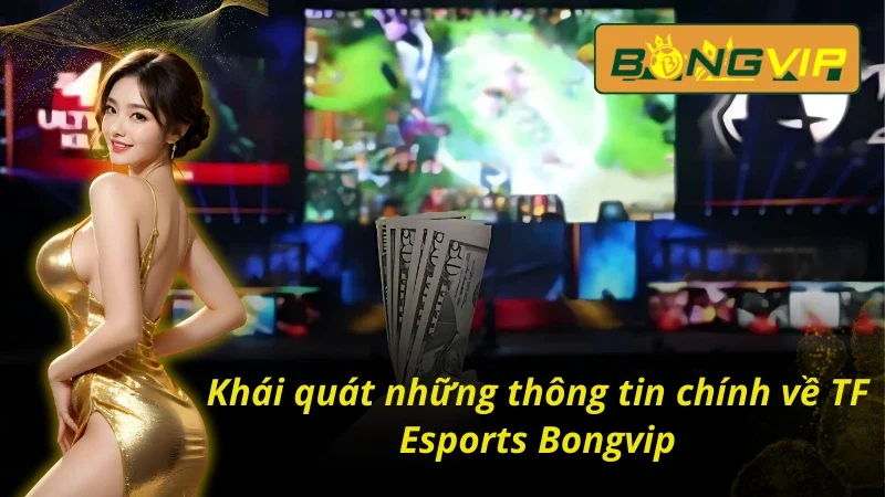 TF Esports - Sảnh Esports Đặc Sắc Nhất Bongvip 2025 2 Sơ lược về thể thao điện tử tại TF Esports Bongvip
