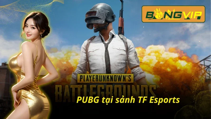 TF Esports - Sảnh Esports Đặc Sắc Nhất Bongvip 2025 6 Game sinh tồn PUBG tại TF Esports Bongvip