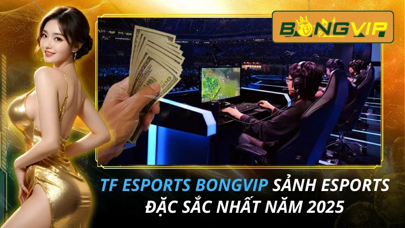 TF Esports - Sảnh Esports Đặc Sắc Nhất Bongvip 2025 1 TF Esports