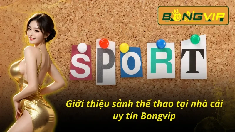 Chinh Phục Thể Thao Với Hàng Ngàn Phần Thưởng Tại Bongvip 2 Đánh giá tổng quan về sảnh thể thao Bongvip