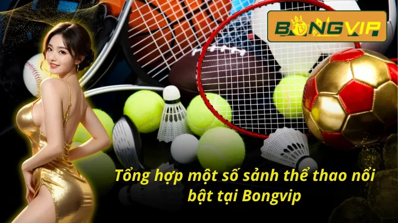 Chinh Phục Thể Thao Với Hàng Ngàn Phần Thưởng Tại Bongvip 4 Một số sảnh thể thao Bongvip cung cấp hiện nay