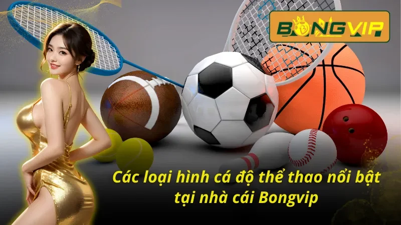 Chinh Phục Thể Thao Với Hàng Ngàn Phần Thưởng Tại Bongvip 5 Một số hình thức cá cược thể thao Bongvip hấp dẫn nhất