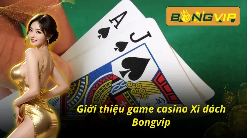 Xì Dách – Game Bài Tư Duy Thể Hiện Bản Lĩnh Của Bạn 2 Thông tin cơ bản về Xì dách Bongvip