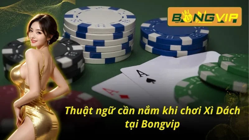 Xì Dách – Game Bài Tư Duy Thể Hiện Bản Lĩnh Của Bạn 4 Xì dách Bongvip và những thuật ngữ cực kỳ quan trọng