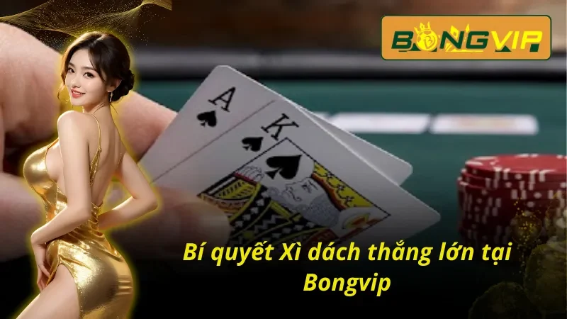 Xì Dách – Game Bài Tư Duy Thể Hiện Bản Lĩnh Của Bạn 5 Bí quyết chinh phục Xì dách Bongvip