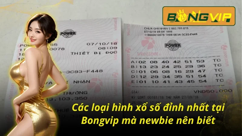 Các loại hình xổ số Vietlott Bongvip mà newbie nên biết