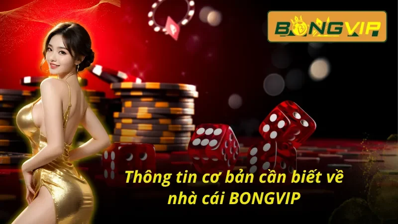 Trang Chủ 34 Đôi nét sơ lược về nhà cái uy tín BONGVIP