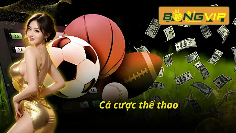 Trang Chủ 36 Cá cược thể thao với vô vàn loạt kèo đặt cược